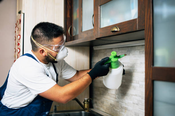 Best Mosquito Control Services  in Corry, PA