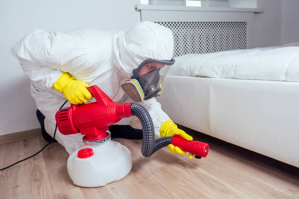 Best Pest Control for Homes  in Corry, PA