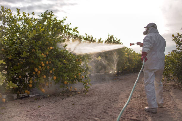 Best Pest Control for Homes  in Corry, PA