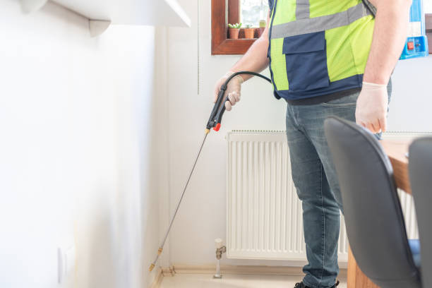 Flea Control Services in Corry, PA