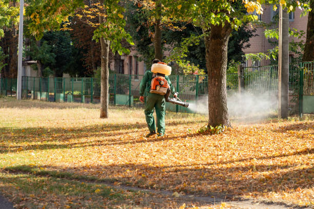 Professional Pest Control in Corry, PA