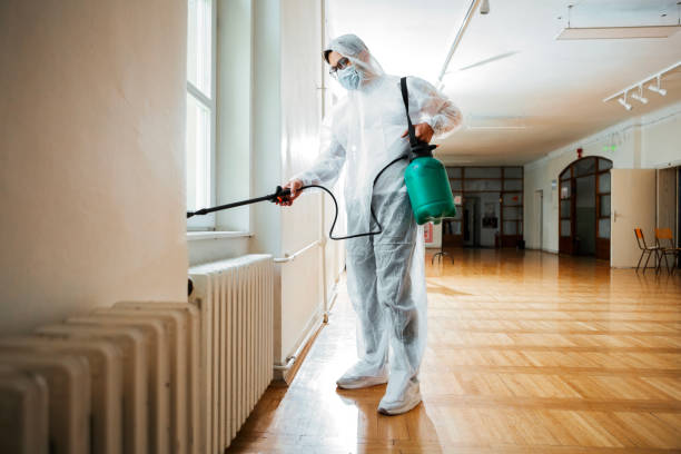 Best Wasp Removal Services  in Corry, PA