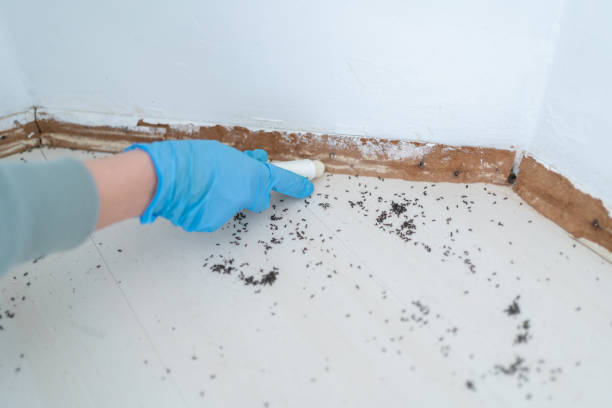 Best Best Pest Control Companies  in Corry, PA