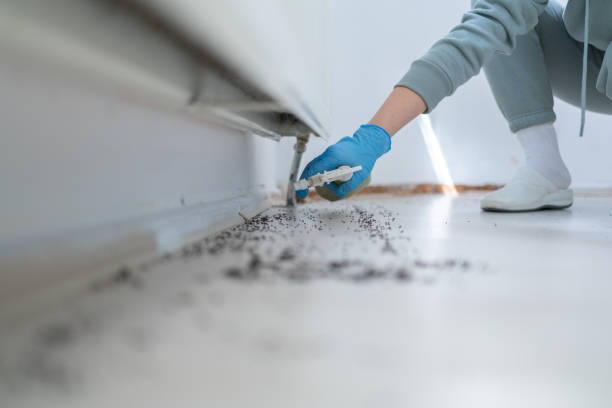 Best Pest Prevention Services  in Corry, PA